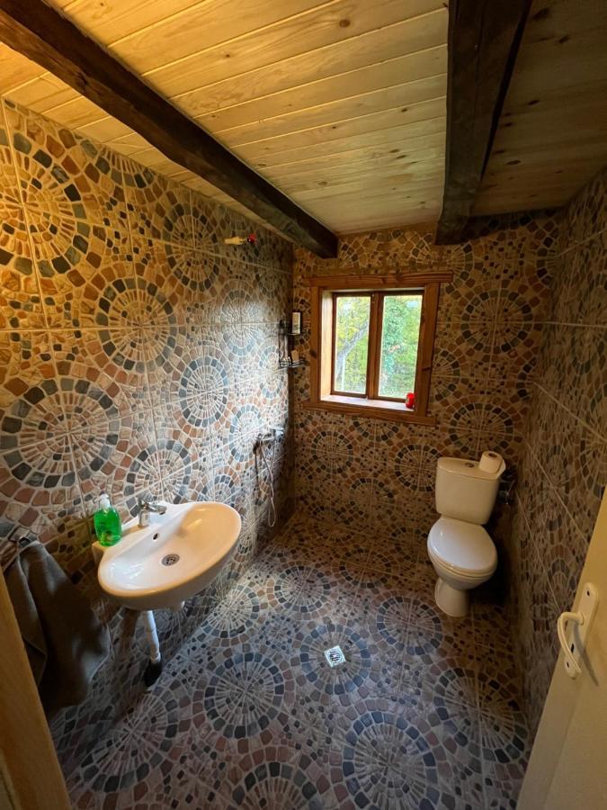 Balkan Mountains Villa Spa Elena Εξωτερικό φωτογραφία
